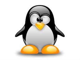 Pinguim - Sistema Linux